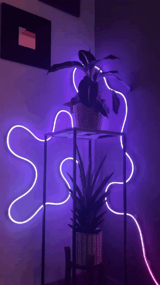 Smart Rope Strip Light
